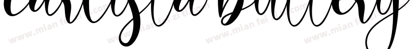 carlista buttery字体字体转换